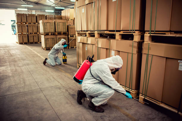 Best Bed Bug Extermination  in Winner, SD