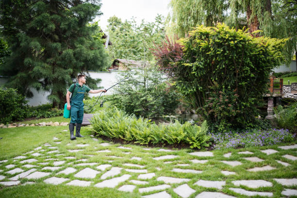 Best Affordable Pest Control Services  in Winner, SD