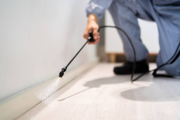Best Pest Prevention Services  in Winner, SD