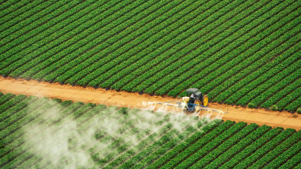 Best Best Pest Control Companies  in Winner, SD