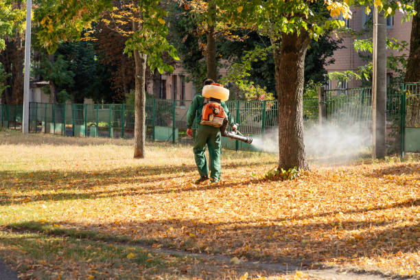 Best Local Pest Control Services  in Winner, SD