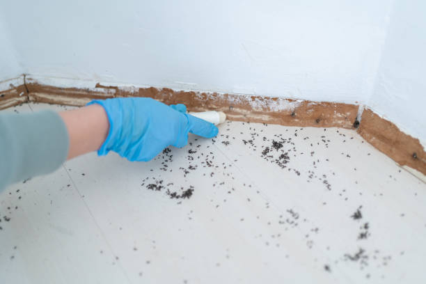 Best Local Pest Control Services  in Winner, SD
