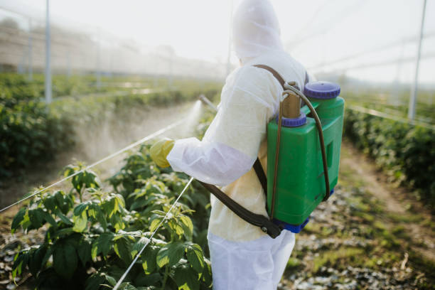 Pest Prevention Services in Winner, SD